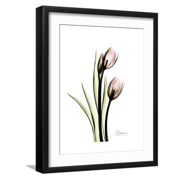 Art.com Tulip Portrait Art Print by Albert Koetsier, Black Frame Wall Art, 17" x 21"