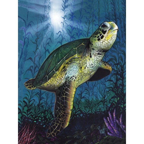 Art.com Turtle Art Print by Scott Westmoreland, 12" x 16"