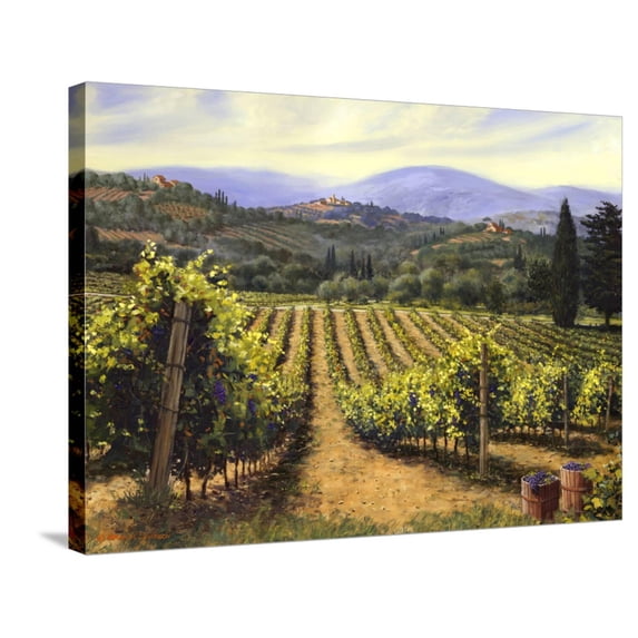 Art.com Tuscany Vines Stretched Canvas Print Wall Art by Michael Swanson, 32" x 24"