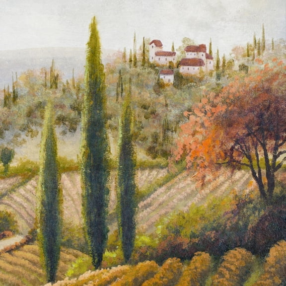 Art.com Tuscany Vineyard II Art Print by Michael Marcon, 16" x 16"