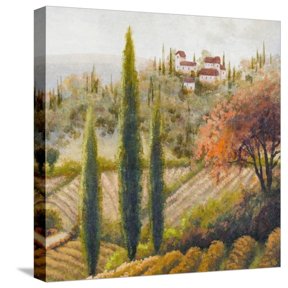 Art.com Tuscany Vineyard II Stretched Canvas Print Wall Art by Michael Marcon, 16" x 16"