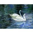 thumbnail image 1 of Art.com Two White Swans On Lake Art Print by balaikin2009, 32" x 24", 1 of 4