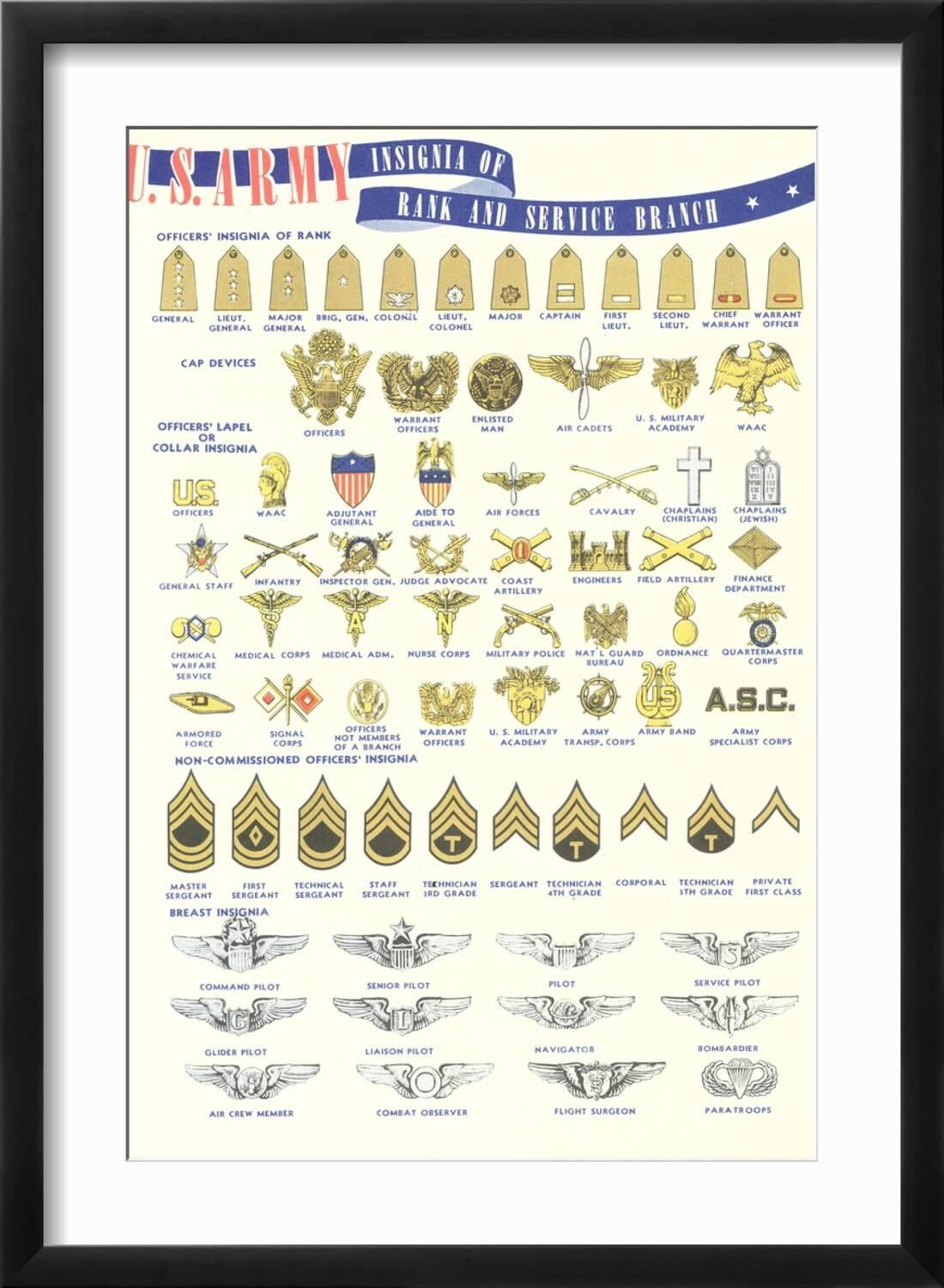 Art.com US Army Rank and Service Insignia Art Print, Black Frame Wall ...