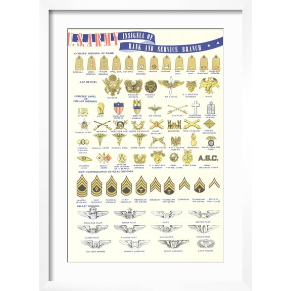 Art.com US Army Rank and Service Insignia Art Print, White Frame Wall Art, 17" x 23"