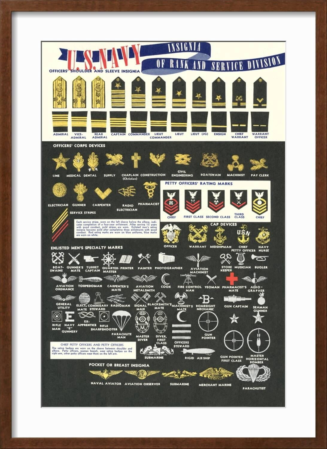 Art.com US Navy Rank and Service Insignia Art Print, Brown Frame Wall ...