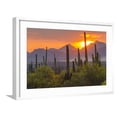 thumbnail image 1 of Art.com USA, Arizona, Saguaro National Park. Sunset on Desert Landscape Photographic Print by Cathy & Gordon Illg, White Frame Wall Art, 29" x 21", 1 of 5