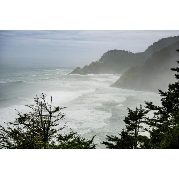 Art.com USA, Oregon. Seal Cove in fog on Pacific Coast Scenic Byway between Florence and Newport. Photographic Print by Alison Jones, 24" x 16"