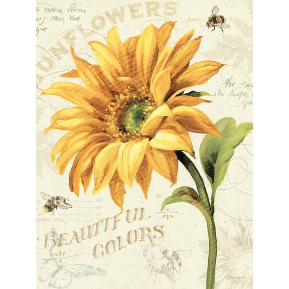 Art.com Under the Sun II Art Print by Lisa Audit, 12" x 16"