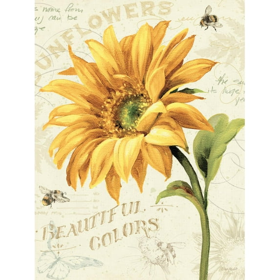 Art.com Under the Sun II Art Print by Lisa Audit, 12" x 16"