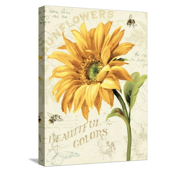 Art.com Under the Sun II Stretched Canvas Print Wall Art by Lisa Audit, 12" x 16"