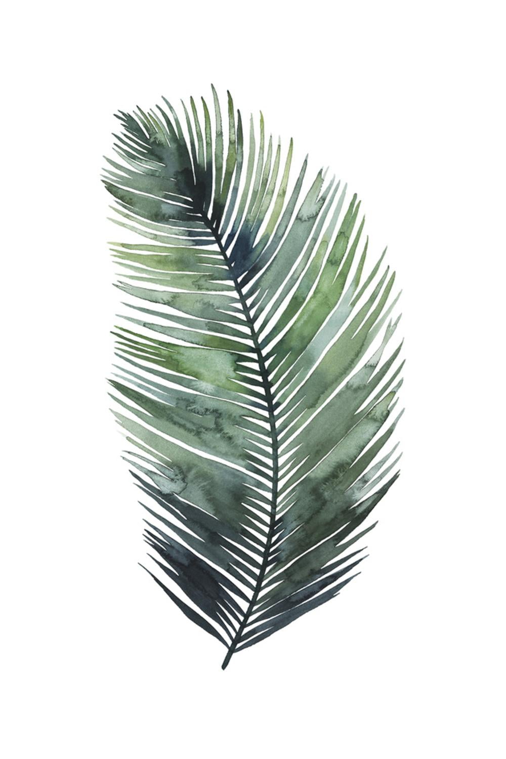 Untethered Palm VII I Tropical Leaves Canvas Print, 18" x 12"