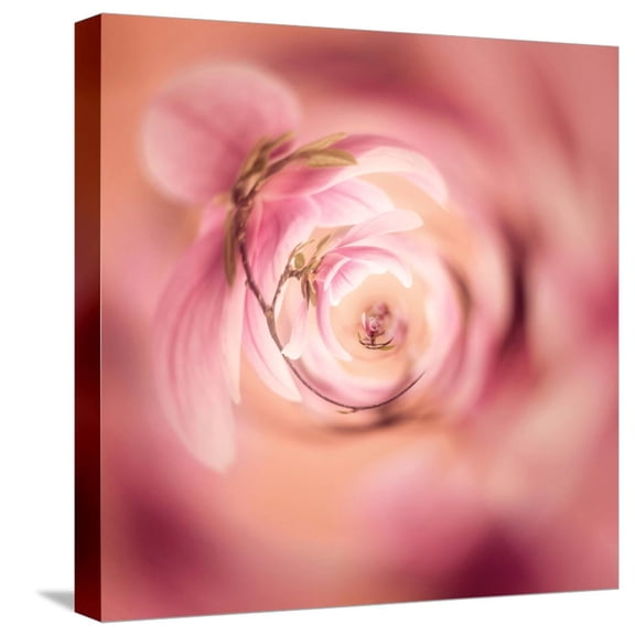 Art.com Variations On A Circle 19 Stretched Canvas Print Wall Art by Philippe Sainte-Laudy, 16" x 16"