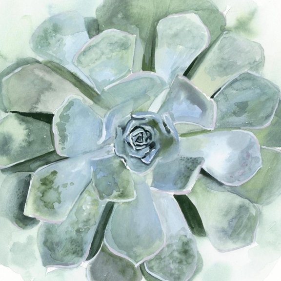 Art.com Verdant Succulent III Art Print by Victoria Borges, 16" x 16"