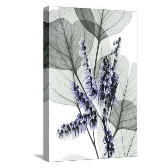 Art.com Very Peri Eucalyptus 1 Stretched Canvas Print Wall Art by Albert Koetsier, 12" x 18"