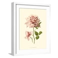 thumbnail image 1 of Art.com Victorian Rose I Art Print by R^ Guillot, White Frame Wall Art, 17" x 21", 1 of 5