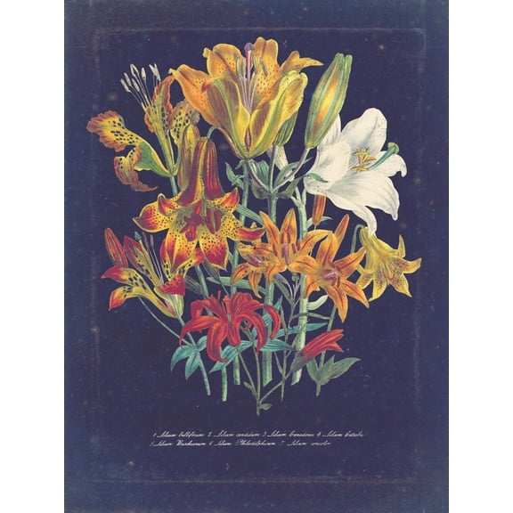 Art.com Vintage Dark Floral on Indigo I Art Print, 12" x 16"