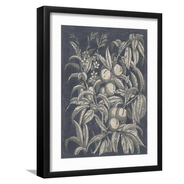 Art.com Vintage Fruit and Floral II Art Print by Megan Meagher, Black Frame Wall Art, 17" x 21"