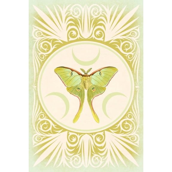 Art.com Vintage Luna Moth Art Print, 16" x 24"