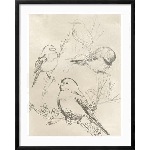 Art.com Vintage Songbird Sketch II Art Print by June Erica Vess, Black Frame Wall Art, 23" x 29"
