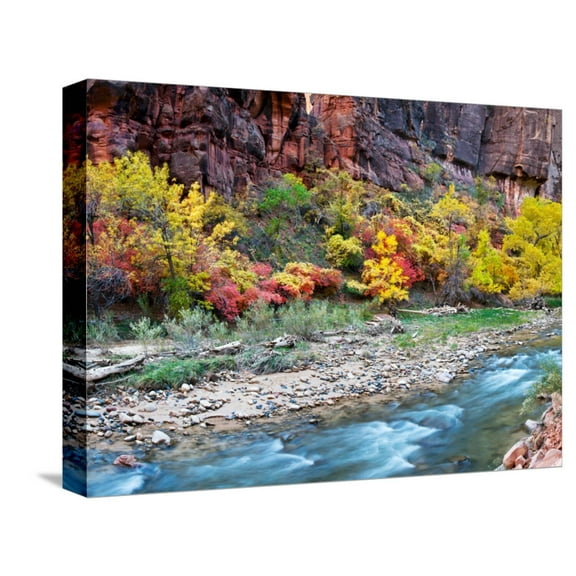 Art.com Virgin River and Rock Face at Big Bend, Zion National Park, Springdale, Utah, USA Stretched Canvas Print Wall Art, 16" x 12"