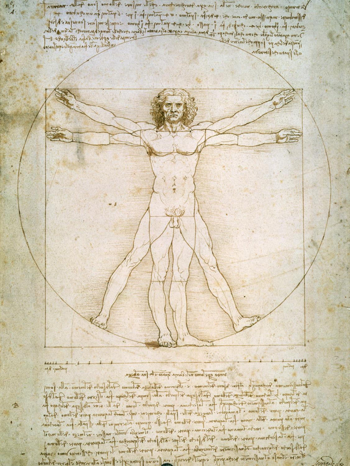 Vitruvian Man Canvas Print by Leonardo da Vinci, 12" x 16"