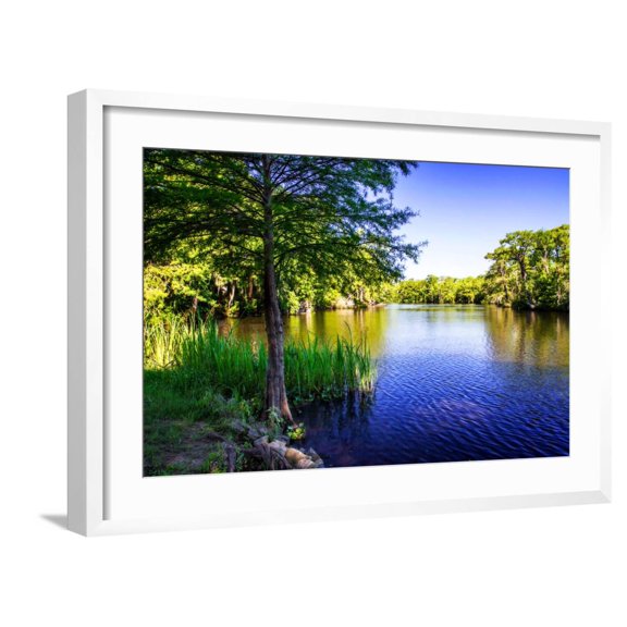 Art.com Waccamaw River Photo by Alan Hausenflock, White Frame Wall Art, 29" x 21"