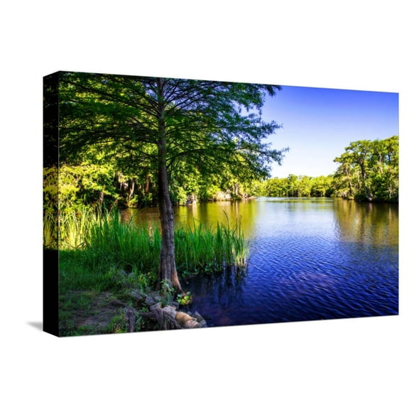 Art.com Waccamaw River Stretched Canvas Print Wall Art by Alan Hausenflock, 18" x 12"