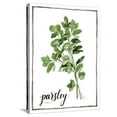 Watercolor Herbs II Stretched Canvas Print Wall Art by Grace