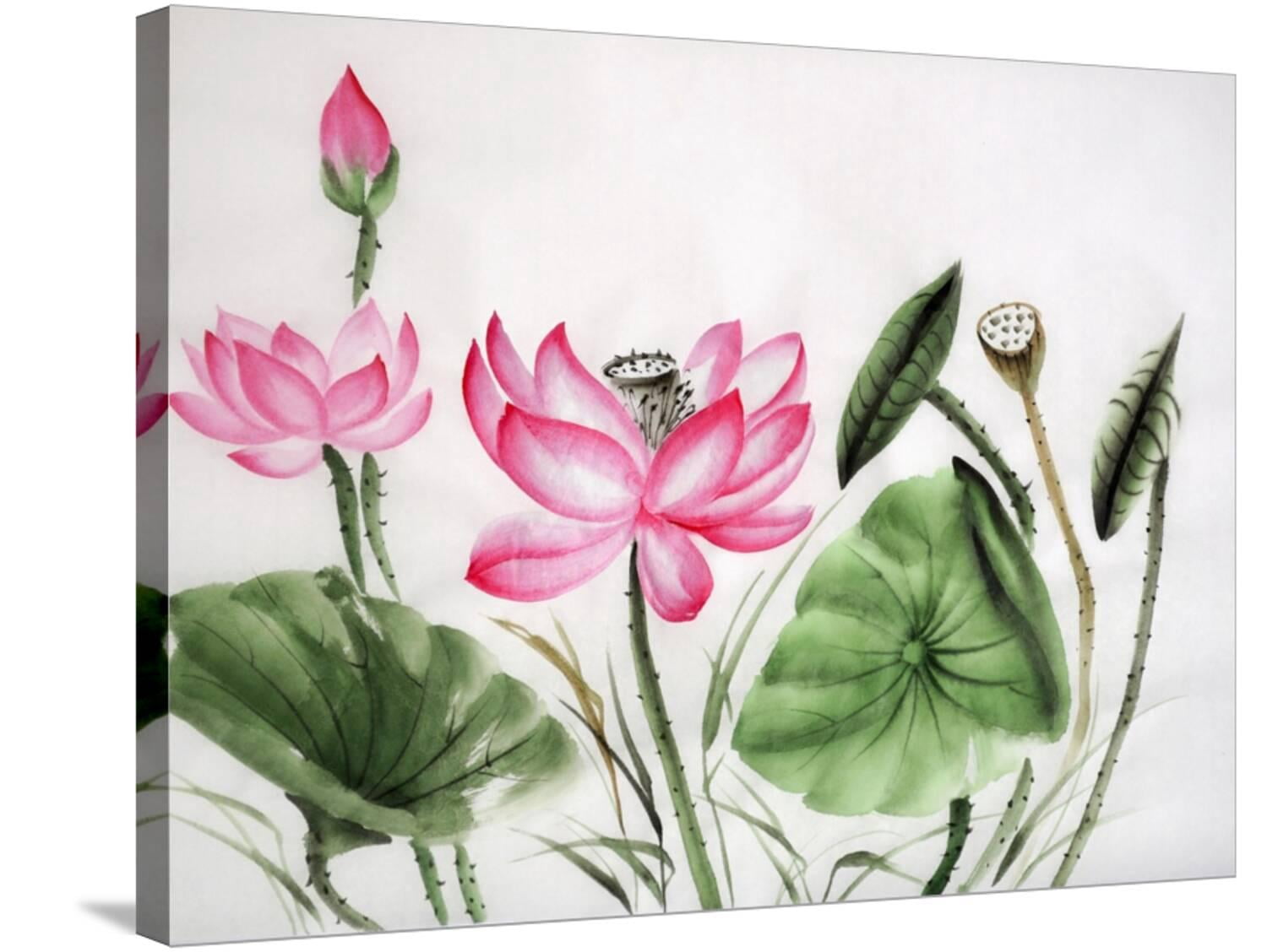 Art.com Watercolor Painting Of Pink Lotus Stretched Canvas Print Wall ...