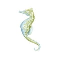 thumbnail image 1 of Art.com Watercolor Seahorse II Art Print by Megan Meagher, 16" x 24", 1 of 3