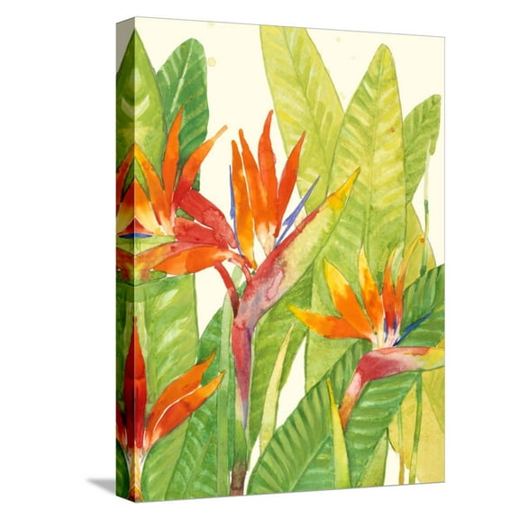 Art.com Watercolor Tropical Flowers IV Stretched Canvas Print Wall Art by Tim OToole, 12" x 16"