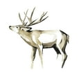 thumbnail image 1 of Art.com Watercolor Woodland I Art Print by Grace Popp, 24" x 24", 1 of 4