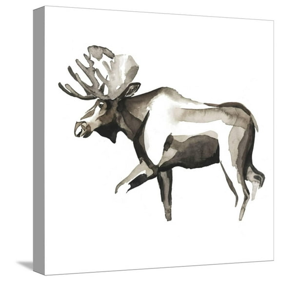 Art.com Watercolor Woodland III Stretched Canvas Print Wall Art by Grace Popp, 16" x 16"