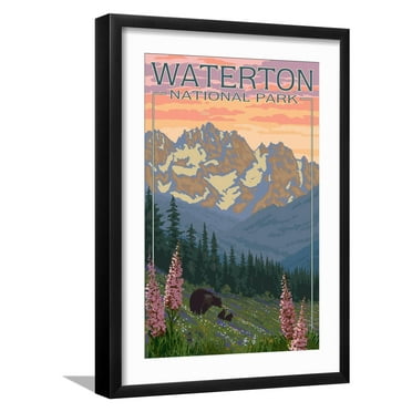 Art.com Waterton National Park, Canada - Bears and Spring Flowers Art Print by Lantern Press, Black Frame Wall Art, 17" x 23"