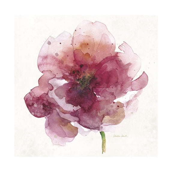Art.com Watery Red Bloom 2 Art Print by Sandra Smith, 24" x 24"