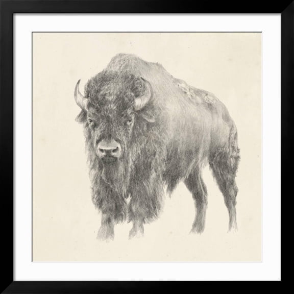 Art.com Western Bison Study Art Print by Ethan Harper, Black Frame Wall Art, 38" x 38"