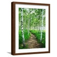 thumbnail image 1 of Art.com White Birch Lane Photographic Print, Brown Frame Wall Art, 17" x 21", 1 of 5
