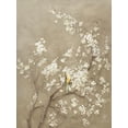 thumbnail image 1 of Art.com White Cherry Blossom I Neutral Crop Bird Art Print by Danhui Nai, 24" x 32", 1 of 3