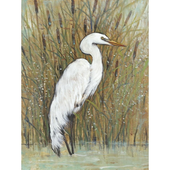 Art.com White Egret II Art Print by Tim OToole, 18" x 24"