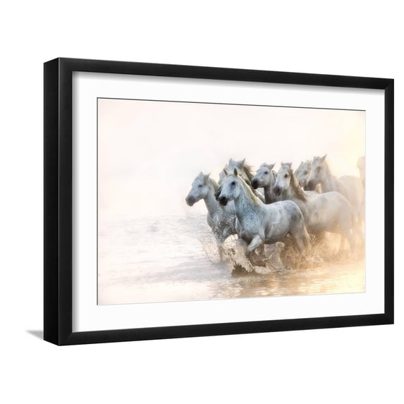 Art.com White Horses of Camargue Running in the Mediterranean Water at Sunrise Photographic Print by Sheila Haddad, Black Frame Wall Art, 23" x 17"