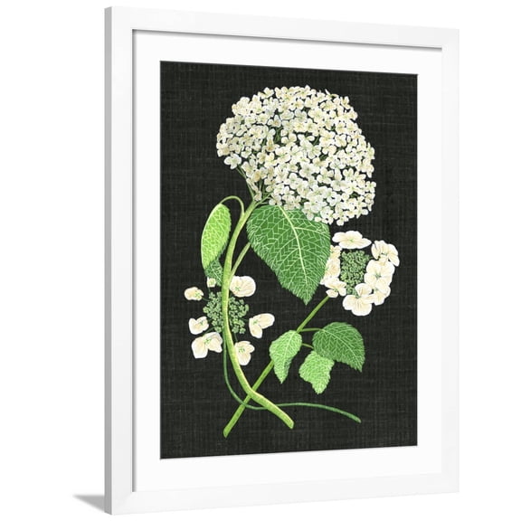 Art.com White Hydrangea Study II Art Print by Melissa Wang, White Frame Wall Art, 32" x 40"