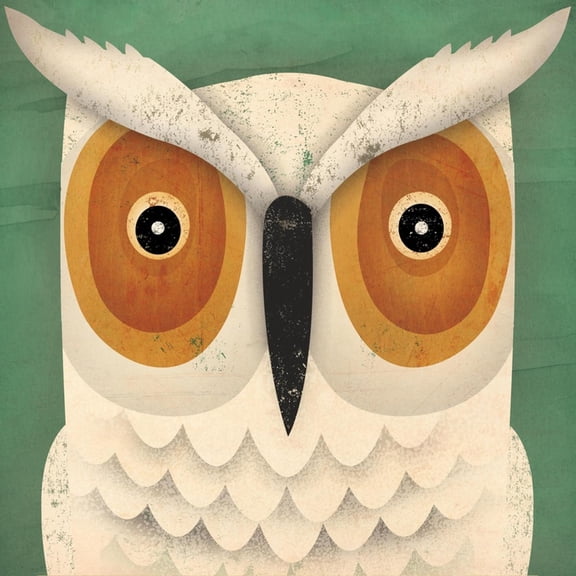Art.com White Owl Art Print by Ryan Fowler, 24" x 24"