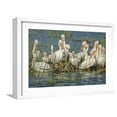 thumbnail image 1 of Art.com White Pelicans Resting and Preening, Viera Wetlands, Florida Photographic Print by Maresa Pryor, White Frame Wall Art, 23" x 17", 1 of 5