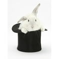 thumbnail image 1 of Art.com White Rabbit in a Black Top Hat Photographic Print by Mark Taylor, 12" x 16", 1 of 4