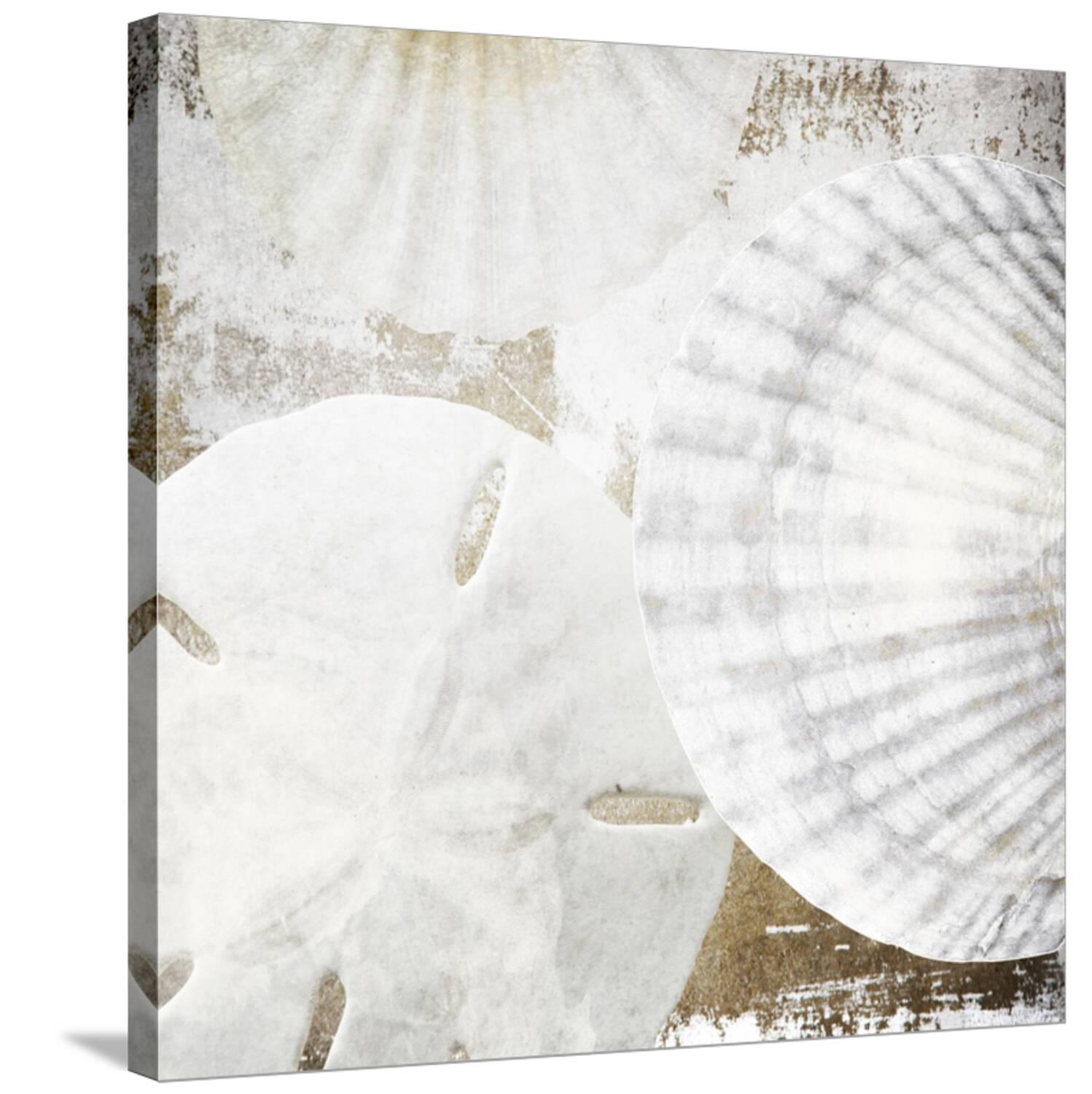 Art.com White Shells II Stretched Canvas Print Wall Art by Irena Orlov ...