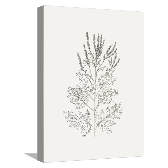 Art.com Wild Foliage Sketch II Stretched Canvas Print Wall Art by Victoria Borges, 12" x 16"