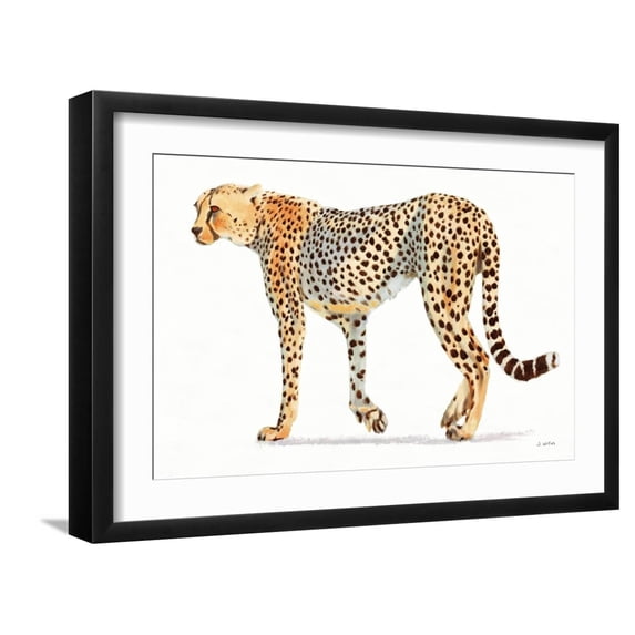 Art.com Wild and Free VII Bold Art Print by James Wiens, Black Frame Wall Art, 23" x 17"