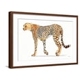 thumbnail image 1 of Art.com Wild and Free VII Bold Art Print by James Wiens, Brown Frame Wall Art, 29" x 21", 1 of 5