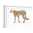 thumbnail image 1 of Art.com Wild and Free VII Bold Art Print by James Wiens, White Frame Wall Art, 23" x 17", 1 of 5