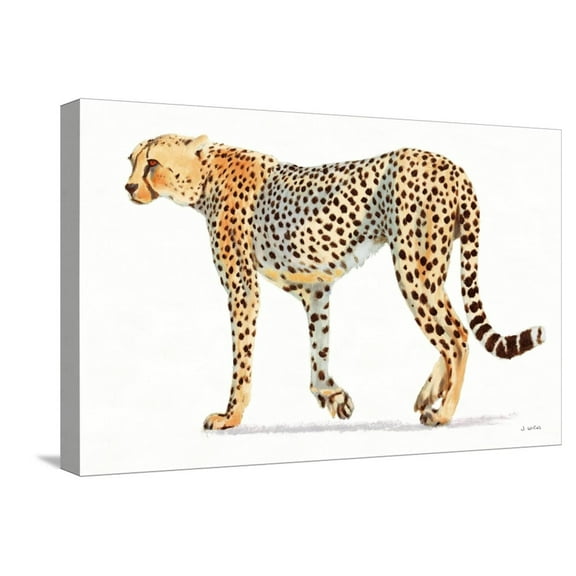 Art.com Wild and Free VII Bold Stretched Canvas Print Wall Art by James Wiens, 24" x 16"